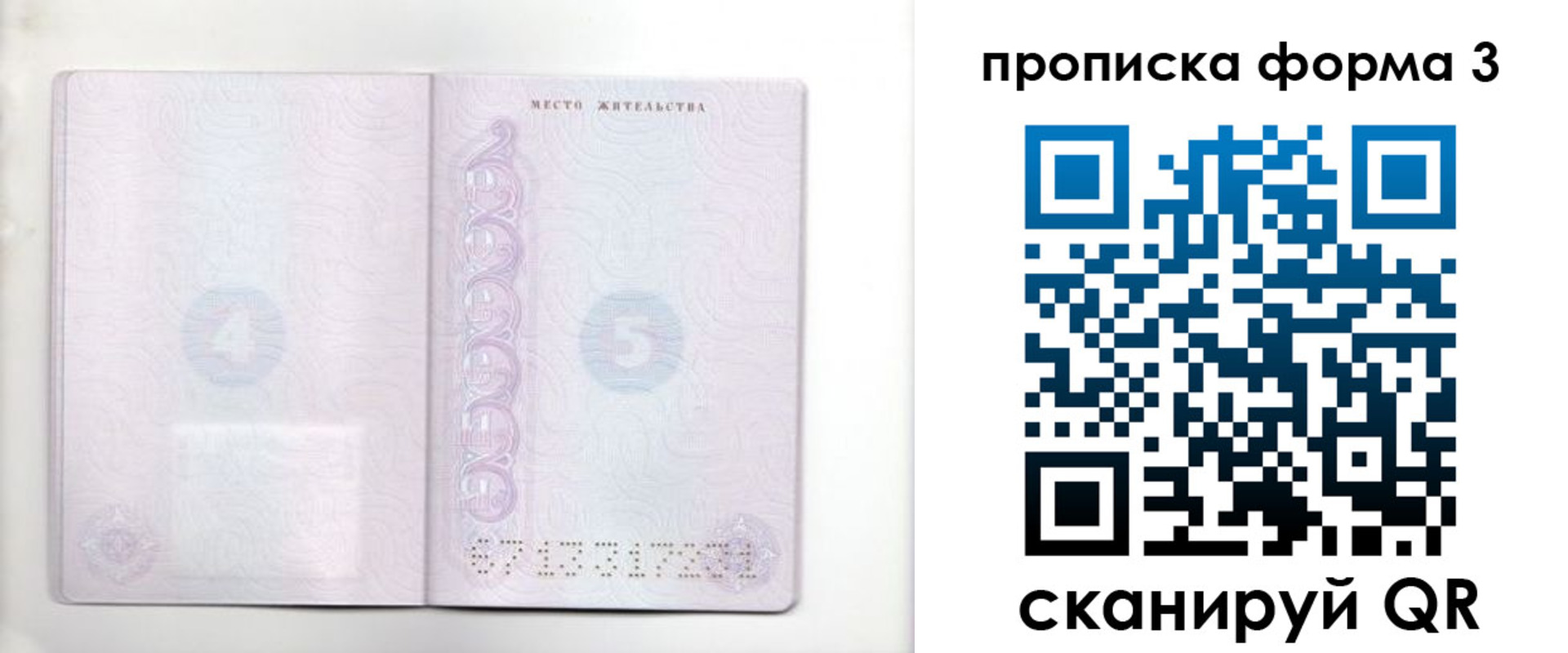 прописка гарантия в Острове